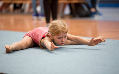 Erfurter Turnpokal 2017