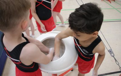 Landesmeisterschaften